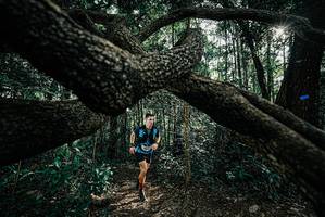 BIB: 
                            <button type="button" onclick="openModal(25663401)" class="btn btn-primary btn-sm float-right btn-popup" data-toggle="modal" data-target=".modal-high-quality">
                        <i class="fas fa-shopping-cart"></i> Add to Cart
                    </button>
                                            <button type="button" onclick="isThisMe(25663401, true)" class="btn btn-success btn-sm float-right btn-popup btn-isme hidden" data-toggle="tooltip" data-placement="bottom" title="นี่คือรูปของคุณใช่ไหม คลิกที่นี่เพื่อเอาเข้าอัลบั้ม">
                        <i class="fas fa-plus"></i> Add to album
                    </button>
                    <button type="button" onclick="isThisMe(25663401, false)" class="btn btn-warning btn-sm float-right btn-popup btn-isnotme hidden">
                        <i class="fas fa-ban"></i> Remove from album
                    </button>